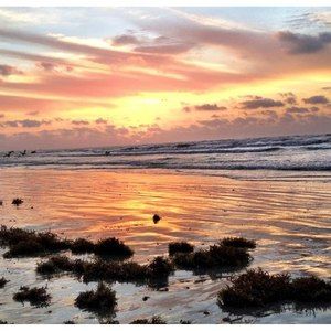 Meet your Posher, Rosana